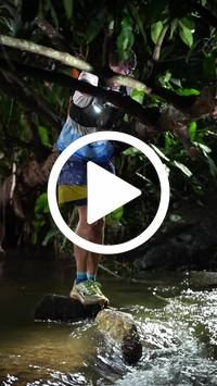 BIB:  <button type="button" onclick="openModal(27565142)" class="btn btn-primary btn-sm float-right" data-toggle="modal" data-target=".modal-high-quality">
                <i class="fa fa-download"></i> Download
                </button>